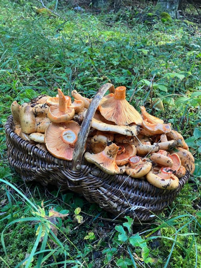 Gite Le Pelens Saint-Martin-dʼEntraunes Eksteriør bilde